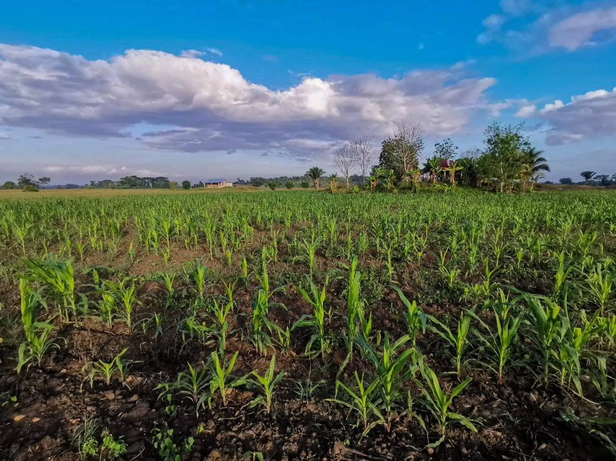  Comunidades Mollejó México y Mollejón Guatemala. Foto Nelton Rivera 